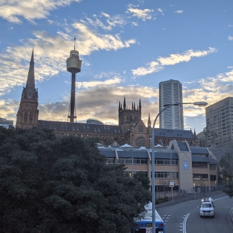 City Skyline; with a tree and a road in the foreground, St Mary's Cathedral and Centrepoint Tower in the midground, and golden clouds behind as the sun begins to set