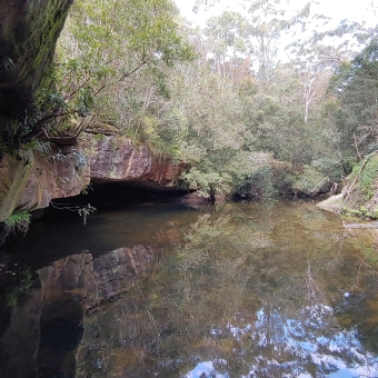 Berowra Creek Under Steele Bridge; left picture rocky outcrop overhanging water, with trees on top overhanging further, bottom and middle covered in wide expanse of water going to the back and right, trees lining the creek into distance.