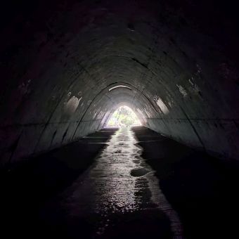 Under The M1, Mount Colah, with a graffiti-covered wall arching over a shallow creek running forward to an almost indistinct light patch of trees and bushes at the centre and end of the tunnel