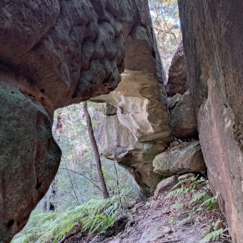 Archway Rock, Trevors Lane Trail, Cherrybrook, with two cliff-sized rocks against the sides of the pictures seemingly meeting centre frame about ten metres from the lens, with a large archway naturally carved away from the left rock with tree trunks and ferns visible through it, with a gap between the two rocks just visible at the top of the frame with the branches and tops of gum trees barely discrenible through it