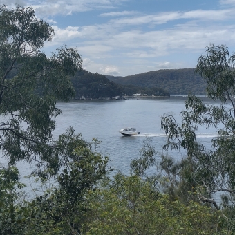 View from Flat Rock Point, Brooklyn, with low rolling hills diving the sky from the water, with tall wild gum trees framing the left and right of the view, with the blue sky streaked with chunky then wispy clouds, with the only disturbance on the water by a small white speedboat speeding across the photo which is currently centre frame