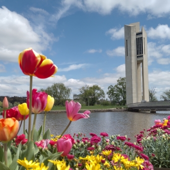 Floriade At The National Carillon, with a flower-bed bordering the bottom of the image so the tulips on the left appear to be the same size as the Carillon on the right, with Lake Burley Griffin separating the flower-bed from the banks the Carillon is on, with a long bridge on the right of the image, with a mostly blue sky which however has streaked and fluffy clouds on the far left and right, with a line of trees dwarfed behind the Carillon covering the horizon