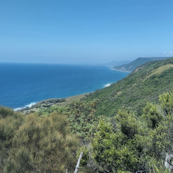 Otford Lookout, Royal National Park, with slopes and headlands extending into the distance all covered in green trees, with the headlands meeting the ocean at white-wash waves