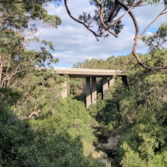 De Burghs Bridge, West Pymble, with a six-lane highway on the bridge made to look small in the surrounding bush, with green leaves covering the hills either side of the bridge which masks nearly all else from view, with blue sky streaked with grey clouds above, with the slow-flowing Lane Cove River flowing through many rocks below