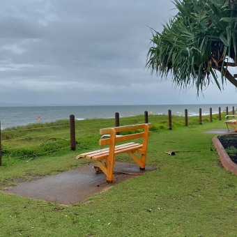 A Blue View, Woorim, Bribie Island, with a yellow bench facing left towards the beach, with a small palm tree on the right.