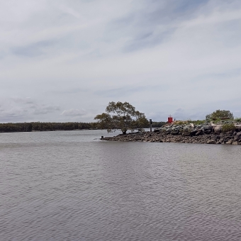 Tree On The Point, Fort Lytton National Park, with a single tree alongside grass on a small point at the centre of the image surrounded by grey water and a grey streaky sky