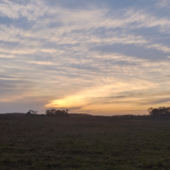 A Sunset Ending, Myall Way, Tea Gardens, with streaked clouds above all the way across the image glowing orange then pastel yellow as they emanate from the sunset which has navy blue behind them, with the low-lying ground blackened due to fading light