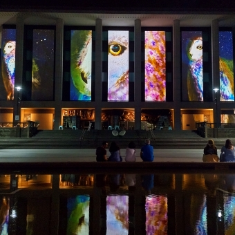 Enlighten Festival - The National Library, with three owls projected between the columns of the National Library