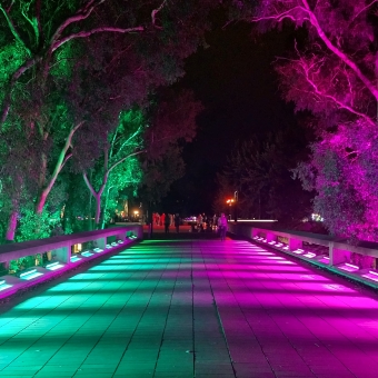 Enlighten Festival - National Gallery Path, with a wide path with no people on it, with with the left side glowing green and the right side glowing magenta