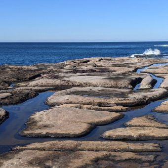 Turimetta Head