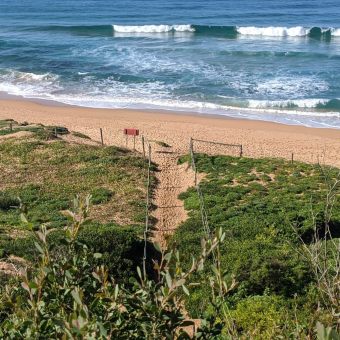 Entrance to Mona Vale Beach