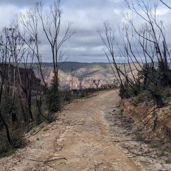 Banks Wall Fire Trail