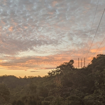 Sunset at Grey Gum Trail End, Mount Colah