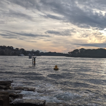 Edge of Barangaroo Reserve