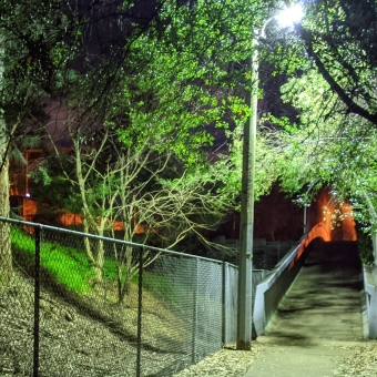 Trainside Walkway at Night, Wahroonga