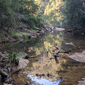 Lane Cove River, South Turramurra