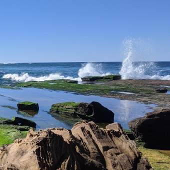 Narrabeen Head, Narrabeen