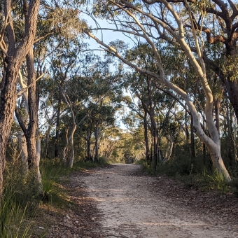 Gibberagong Walking Track, Wahroonga