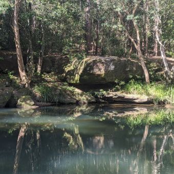 Gibberagong Track Across Cockle Creek, North Turramurra