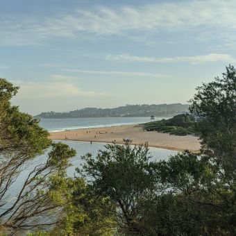 Lagoon & Beach From Atop Wamberal Reserve