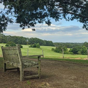 Wooden Bench Facing Miniature Airfield