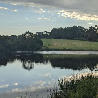 Open Fields Across George Hall Creek