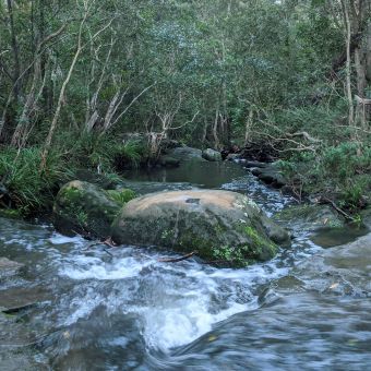 Free-Flowing River across the Benowie Walking Track, Westleigh