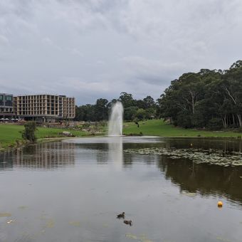 The Learned Versus Nature, Lake Yerbury, Macquarie University