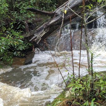 Tributary Waterfall into Lane Cove River, South Turramurra