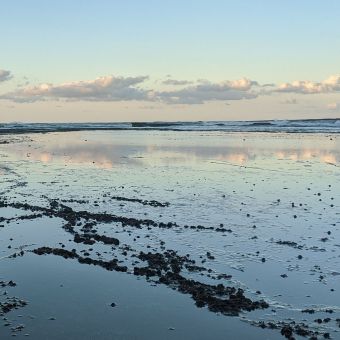 Sunset Reflections on Bungan Head, Newport