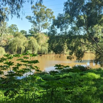 Macquarie River North of Dubbo CBD