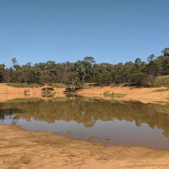 Mogriguy Forest Road Dam, Goonoo National Park