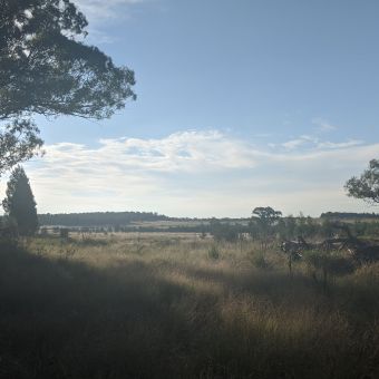 Scapes Beyond Sappa Bulga National Park