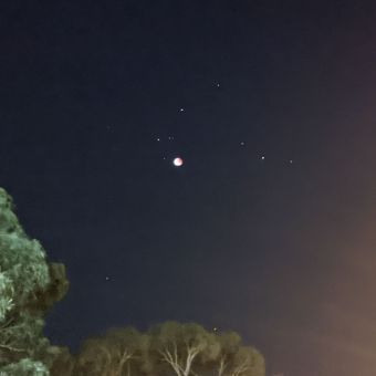 Eclipse Of The Moon, taken from the centre of Hornsby