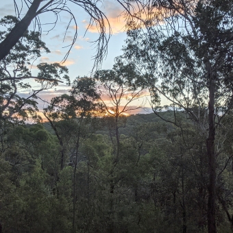 Gibberagong Track Sunset; sparse trees in the foreground, low-rise valley in the background, setting sun just behind opposing hill, orange clouds symetrically mirrored by a tree in the foreground.