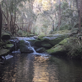 BNerowra Creek: On The Rocks, Off The Beaten Track: centre frame waterfall about a metre high cascading diagonally down rocks, river banks extending to bottom corners, top middle sun peeping through dense trees covering everywhere else.