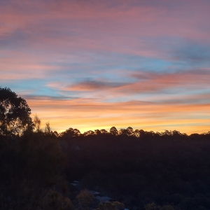 Reds & Blues Twixt Hues: different silhouetted tree on left, red the orange stripes of clouds between seemingly purple then blue then yellow sky, with silhouetted valley below.