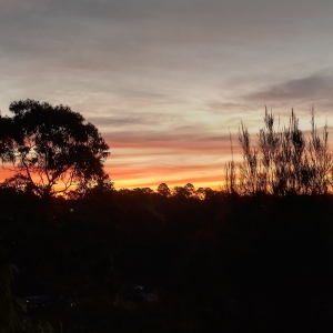 Burning Horizon: silhouetted trees on left and bush on right, light blue sky at top with very red clouds at the horizon with a allusion of bushfires.