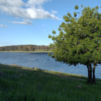 Bethungra Dam in Shade & Sun