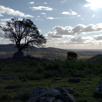 The View Away From Bethungra Dam