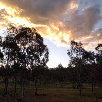 Golden Clouds from Cootamundra Mountain Bike Park