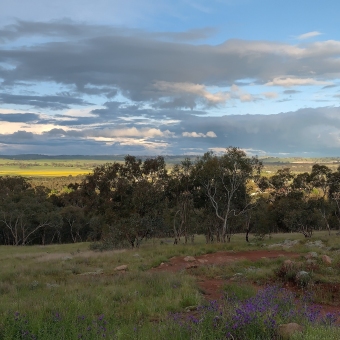 All The Colours From Cootamundra Mountain Bike Park