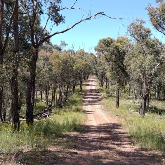 Jindalee National Park,<br>Cootamundra