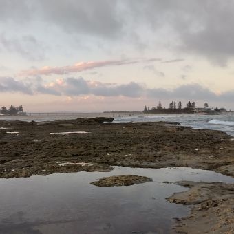 Sunset From Karagi Point, The Entrance, with rocks and rock pools spanning the bottom foreground and pink and grey clouds streaking across a pale blue sky across the top with a thing string of silhouette trees and The Entrance Bridge dividing the two halves