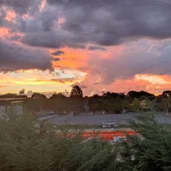 Glowing Sunset, Dickson, with dense shrubs in front of a carpark, with grey clouds gilded like fire from the sunset roaring above