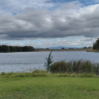 A Young Tree Looking Out, with a fir tree about the size of an adult front and centre and on the edge of the pond, with long grass and water-grass either side, looking out over expansive water rippled by wind and the other coastline in the distance, only shortened by a looming mountain on the horison which is itself belittled by the rolling clouds above, which look like mashed potatoes