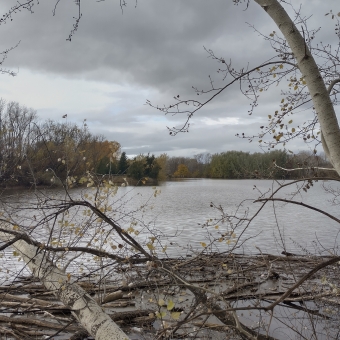 Molonglo River from Jerrabomberra Wetlands Nature Reserve, Fyshwick, with bare skinny branches in the foreground which are easy to see through, with grey clouds over head reflected in the water below, with those divided by yellow orange and green trees on the opposite bank