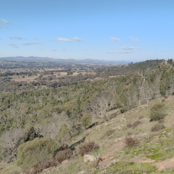 The Expansive Valley, Pioneer Park, Cootamundra, with a clear blue sky only dotted with cotton-ball-like clouds near the horizon, with the hill I'm standing on extending to the right and barely blocking the horizon, with the valley on my left extending to behind the previous ridge-line, with low-rising mountains in the distance just discernibly following the valley into the distance where they all meld into a blue hue, with every ground surface covered in khaki-green trees bar the immediate foreground of boulders and moss