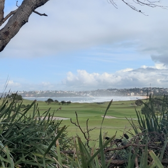 Long Reef Gold Course, Collaroy, with a beach arching into the distance in the centre framed by a flat green golf course below and dark grey clouds with occasional blue above both meeting on the right with chequered buildings and trees and on the left hiding behind ferns and trees covering the ocean