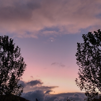 Sunset Moon, from Paul Coe Crescent, Ngunnawal, with one tree either side of the picture silhouetted by the sky, with an orange and magenta glow emanating from grey clouds at the bottom of the image which then melds into lavender and blue hues which ultimately hide behind clouds at the top which are grey trimmed with gold and umber, with the faintest crescent moon smiling from the centre of the image